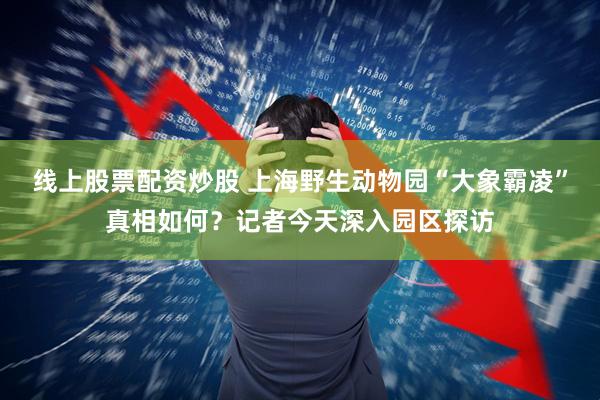 线上股票配资炒股 上海野生动物园“大象霸凌”真相如何？记者今天深入园区探访