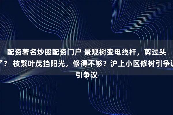 配资著名炒股配资门户 景观树变电线杆，剪过头了？ 枝繁叶茂挡阳光，修得不够？沪上小区修树引争议